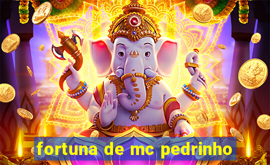 fortuna de mc pedrinho